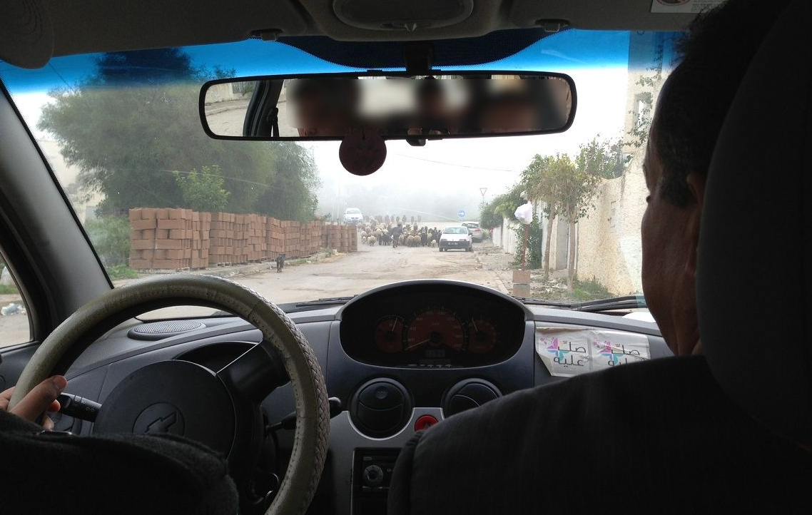 Vaizdas iš automobilio galinės sėdynės – priekyje du žmonės, vairuotojas ir keleivis, o pro priekinį stiklą matoma siaura gatvė su plytų krūvomis ir kelią užtvėrusia avių banda.