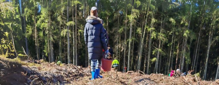 Asmuo su ilgu paltu, mėlynais batais ir kepure, laikantis raudoną kibirą miško pakraštyje – fone matyti kiti žmonės, dalyvaujantys medžių sodinimo ar aplinkos tvarkymo veikloje, simbolizuojančioje savanorystę gamtosaugos srityje.