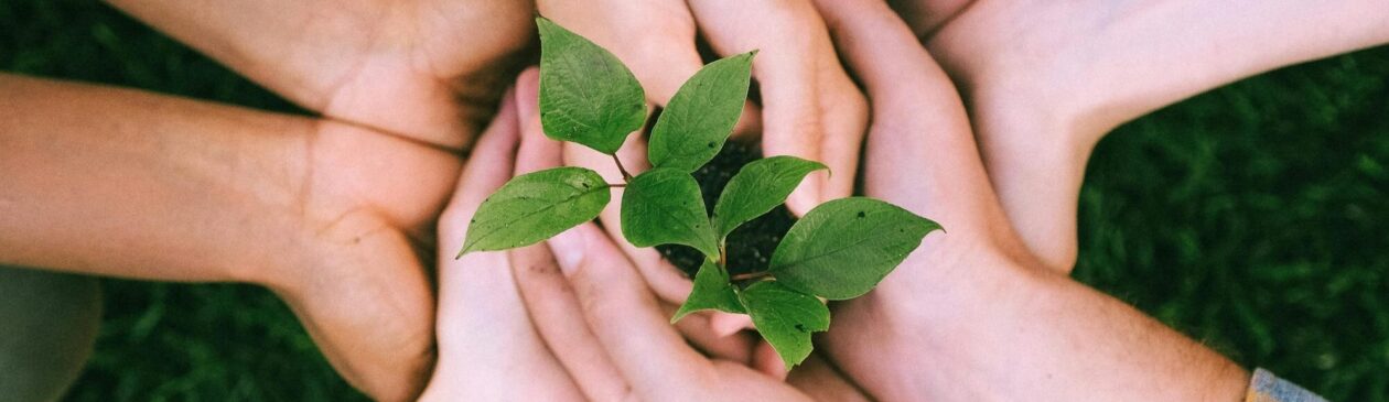Daug žmonių suglaudę plaštakas ratu, delnuose laiko žaliuojantį augalą. Nuotrauka simbolizuoja tvarumą